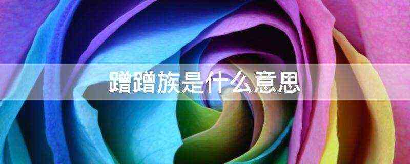 蹭蹭族是什么意思-