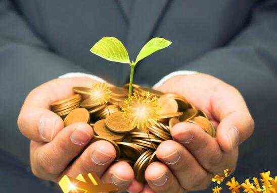 1万元炒股一年最多赚多少钱-