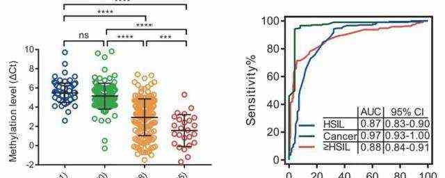 lsil是什么意思 lsil指的是什么