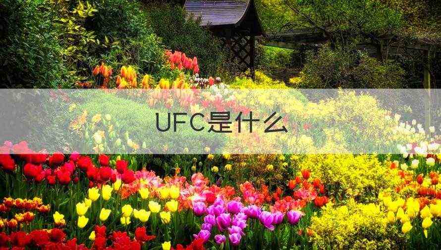 ufc是什么意思啊 UFC是什么(解答)